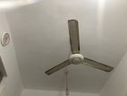 Ceiling Fan