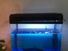 used fish tank for sale