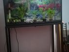 Fish Tank with Glass Hood