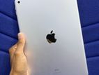 Apple iPad