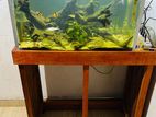Fish Tank