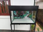 Used Glass Fish Tank