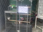 Used Imported Bird Cage