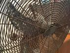 Cooler Fan