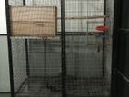 Used large bird cage