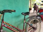 Lumala Mountain Bicycle