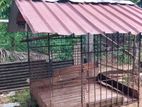 Metal Dog Cage