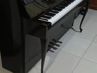 Piano (Used)