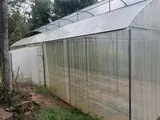 Used Poly Tunnel with Irrigation System