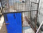 Steel Dog Cage