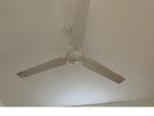 Used Telesonic Ceiling Fan