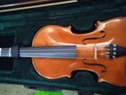 Used Violin
