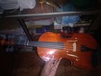 Violin