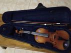 Violin
