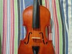 Violin