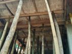 Used Wooden Ceiling Planks