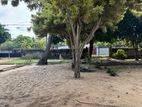 Uswetakeiyawa - Beach Front Property for sale