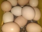 ஊர் கோழி முட்டைகள் Egg