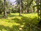ඌරාපොල ඉඩමක් විකිනීමට