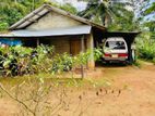 🏡📢 ඌරාපොල – නිට්ටඹුවෙන් අද්විතීය අවස්ථාවක්