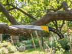 UYUSTOOLS 12" Hand Pruning Saw – SRPM12 HERMAN HT 1002