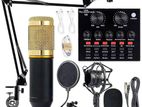 V8S Live Sound Card Amp BM800 Mic Kit