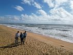 වාද්දූව Beach එකට මූණලා සංචාරක ව්‍යාපාරය ට නියම ඉඩමක්