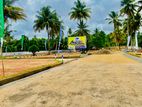 වාද්දුව තල්පිටියෙන් බිම් කොටස් D29