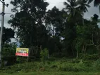 Vaagama Land for Sale