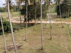 වාරියපොල බිම් කොටසක්