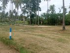 වාරියපොල නගරයෙ ඉඩමක්