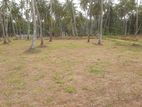 වාරියපොලින් ඉඩමක් - Land for sale in Kurunegala Wariyapola