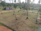 වාරියපොළ නගරයෙන්ම සින්නක්කර බිම්කොටස් විකිණීමට