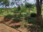 වැලිමඩ ඉඩම