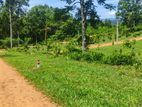වැලිමඩ ඉඩමක් විකිණීමට