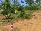 Land for Sale in Welimada