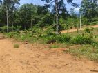 Land for Sale in Welimada
