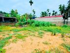 වැල්ලන්පිටිය, කොටුවිලින් පර්චස් 20ක ඉඩමක්