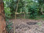 Land for Sale වැල්ලවාය
