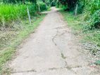 වැල්ලවාය නගරය ආසන්නයේ වටිනා ඉඩමක් විකිණීමට