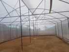 Greenhouse Construction
