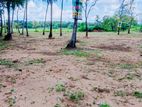 වැවකට මායිම් වු ඉඩමක්