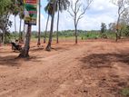 වැවකට මායිම්ව ඉඩමක් විකිනිමට කටුකෑලියාව