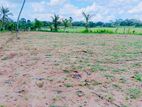වැවකට මායිම්ව සින්නක්කර ඉඩමක් විකිනිමට කටුකෑලියාව