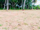 වැවකට මායිම්ව සින්නක්කර ඉඩමක් විකිනිමට කටුකෑලියාව