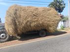 Vaikkal (Straw)