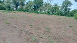 Valuable 08P Bare Land for Sale in 266 Jaela Weligampitiya Rd Ganemulla