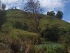 Valuable 10 Acre Land for Sale – Idalgashinna Border Area