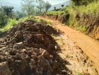 Valuable 10 Acre Land for Sale – Idalgashinna Border Area