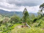 Valuable 10-Acre Land for Sale in Galaha, Kandy.